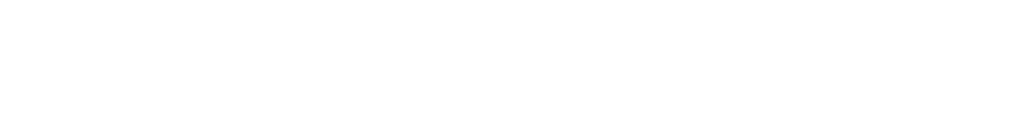 IS Consultant